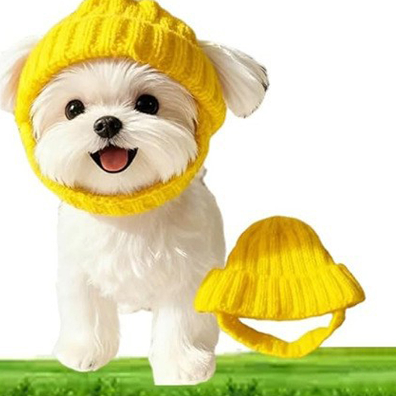 1Pc Maltese Dog Beanie Hat Sof - Winter Trapper Hat 评论和价格